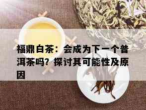 福鼎白茶：会成为下一个普洱茶吗？探讨其可能性及原因