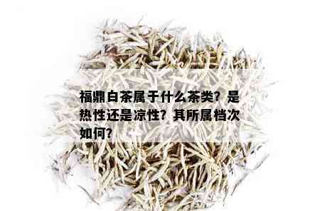 福鼎白茶属于什么茶类？是热性还是凉性？其所属档次如何？