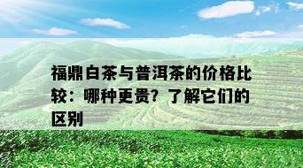 福鼎白茶与普洱茶的价格比较：哪种更贵？了解它们的区别