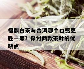 福鼎白茶与普洱哪个口感更胜一筹？探讨两款茶叶的优缺点