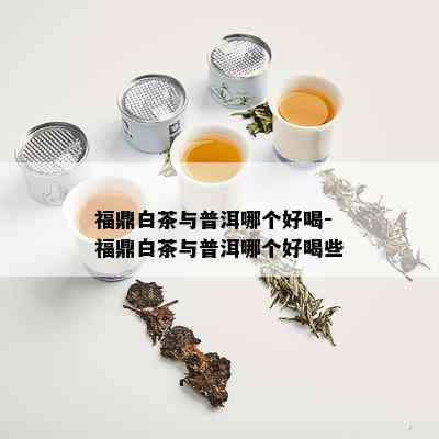 福鼎白茶与普洱哪个好喝-福鼎白茶与普洱哪个好喝些