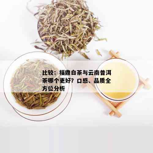 比较：福鼎白茶与云南普洱茶哪个更好？口感、品质全方位分析