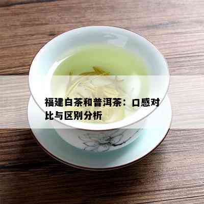 福建白茶和普洱茶：口感对比与区别分析