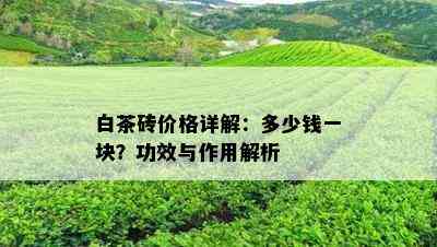 白茶砖价格详解：多少钱一块？功效与作用解析