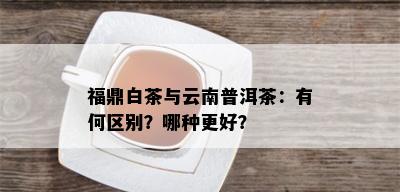 福鼎白茶与云南普洱茶：有何区别？哪种更好？