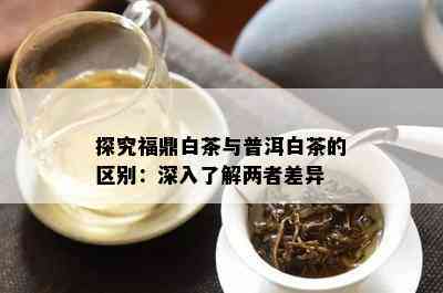 探究福鼎白茶与普洱白茶的区别：深入了解两者差异