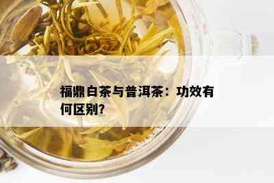 福鼎白茶与普洱茶：功效有何区别？