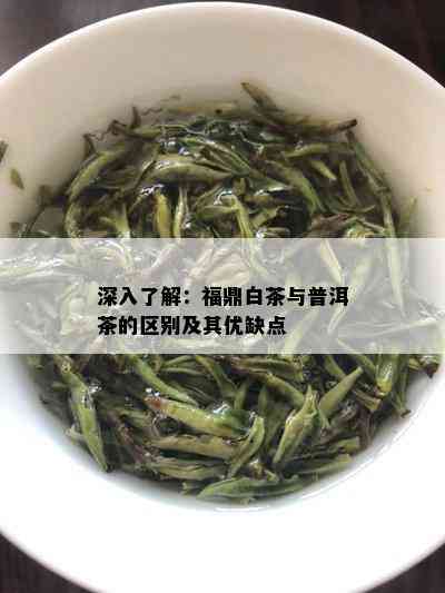 深入了解：福鼎白茶与普洱茶的区别及其优缺点