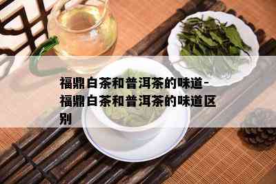 福鼎白茶和普洱茶的味道-福鼎白茶和普洱茶的味道区别