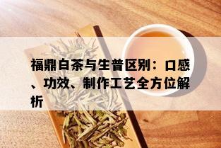 福鼎白茶与生普区别：口感、功效、制作工艺全方位解析