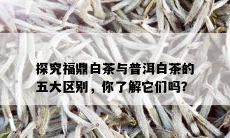 探究福鼎白茶与普洱白茶的五大区别，你了解它们吗？