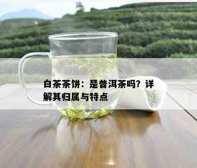 白茶茶饼：是普洱茶吗？详解其归属与特点