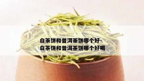 白茶饼和普洱茶饼哪个好-白茶饼和普洱茶饼哪个好喝