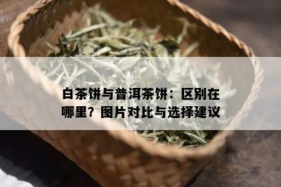 白茶饼与普洱茶饼：区别在哪里？图片对比与选择建议