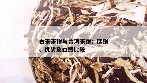 白茶茶饼与普洱茶饼：区别、优劣及口感比较