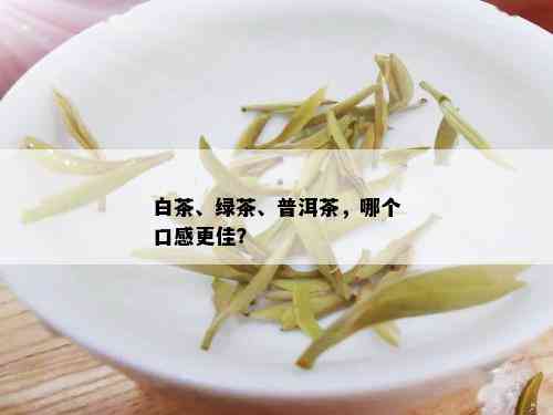 白茶、绿茶、普洱茶，哪个口感更佳？