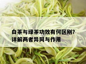 白茶与绿茶功效有何区别？详解两者异同与作用