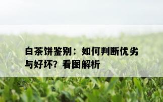 白茶饼鉴别：如何判断优劣与好坏？看图解析