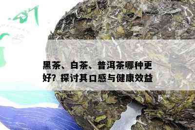 黑茶、白茶、普洱茶哪种更好？探讨其口感与健康效益