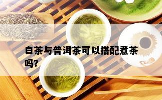 白茶与普洱茶可以搭配煮茶吗？