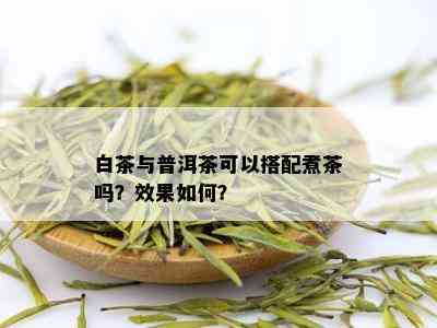 白茶与普洱茶可以搭配煮茶吗？效果如何？