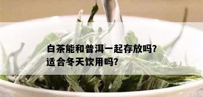 白茶能和普洱一起存放吗？适合冬天饮用吗？