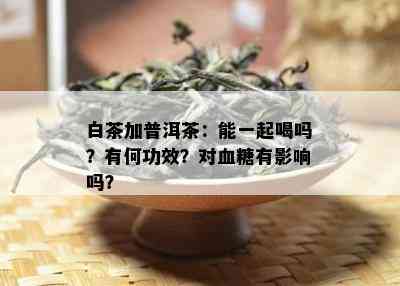 白茶加普洱茶：能一起喝吗？有何功效？对血糖有影响吗？