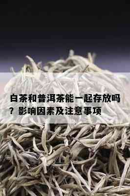 白茶和普洱茶能一起存放吗？影响因素及注意事项