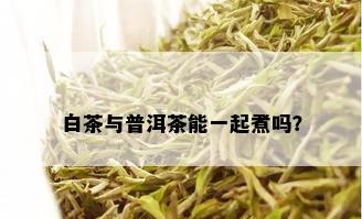 白茶与普洱茶能一起煮吗？