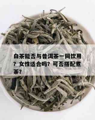 白茶能否与普洱茶一同饮用？女性适合吗？可否搭配煮茶？