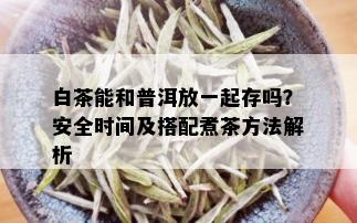 白茶能和普洱放一起存吗？安全时间及搭配煮茶方法解析