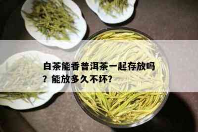 白茶能香普洱茶一起存放吗？能放多久不坏？