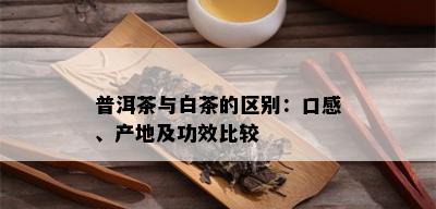 普洱茶与白茶的区别：口感、产地及功效比较