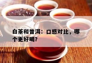 白茶和普洱：口感对比，哪个更好喝？