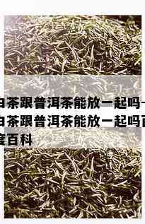 白茶跟普洱茶能放一起吗-白茶跟普洱茶能放一起吗百度百科