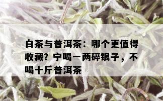 白茶与普洱茶：哪个更值得收藏？宁喝一两碎银子，不喝十斤普洱茶