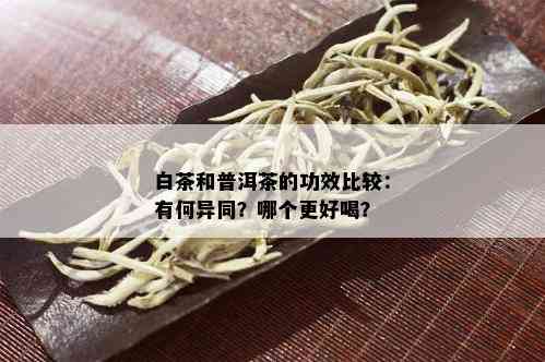 白茶和普洱茶的功效比较：有何异同？哪个更好喝？