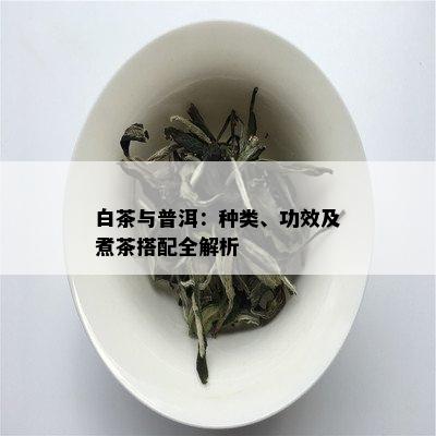 白茶与普洱：种类、功效及煮茶搭配全解析