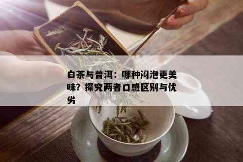 白茶与普洱：哪种闷泡更美味？探究两者口感区别与优劣