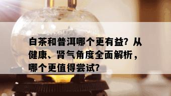 白茶和普洱哪个更有益？从健康、肾气角度全面解析，哪个更值得尝试？