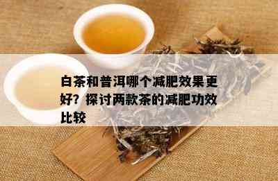 白茶和普洱哪个减肥效果更好？探讨两款茶的减肥功效比较