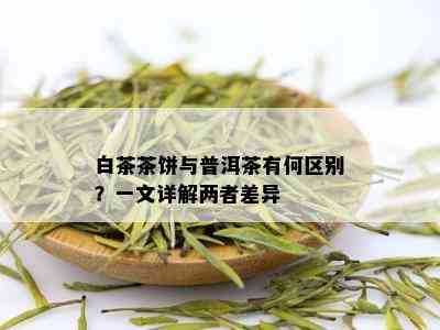 白茶茶饼与普洱茶有何区别？一文详解两者差异