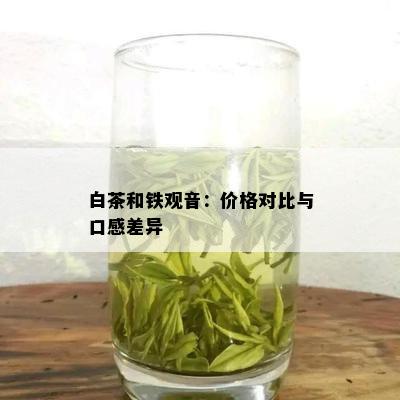 白茶和铁观音：价格对比与口感差异