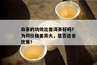 白茶的功效比普洱茶好吗？为何价格差异大，是否适合饮用？