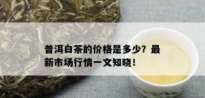 普洱白茶的价格是多少？最新市场行情一文知晓！