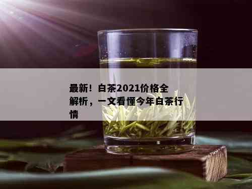 最新！白茶2021价格全解析，一文看懂今年白茶行情