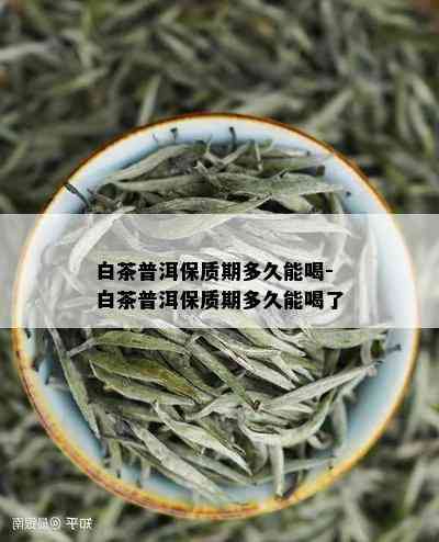 白茶普洱保质期多久能喝-白茶普洱保质期多久能喝了