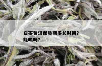 白茶普洱保质期多长时间？能喝吗？