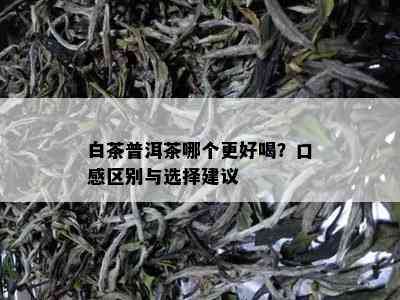 白茶普洱茶哪个更好喝？口感区别与选择建议