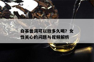 白茶普洱可以放多久喝？女性关心的问题与视频解析